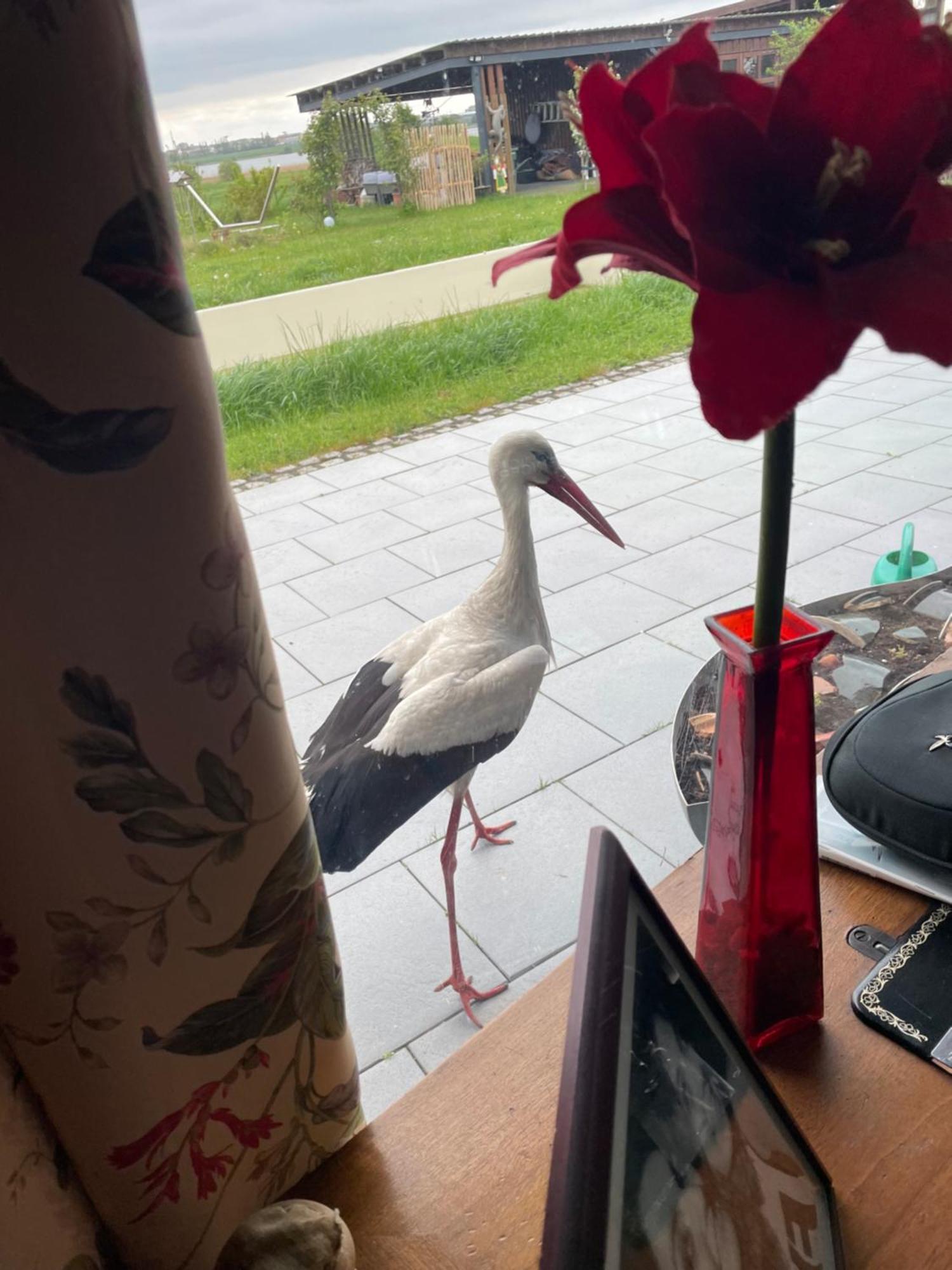 Ferienparadies Nonnensee Parchtitz